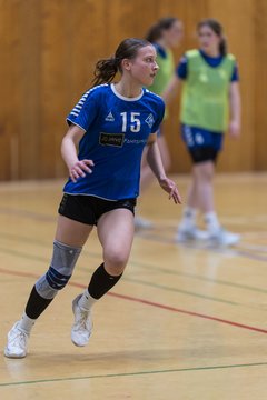 Bild 120 - wBJ TSV Ellerau - HSG Stoertal Hummeln : Ergebnis: 26:19